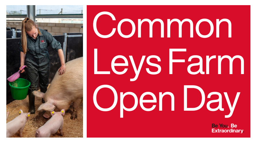 Common Leys Farm Campus Open Day