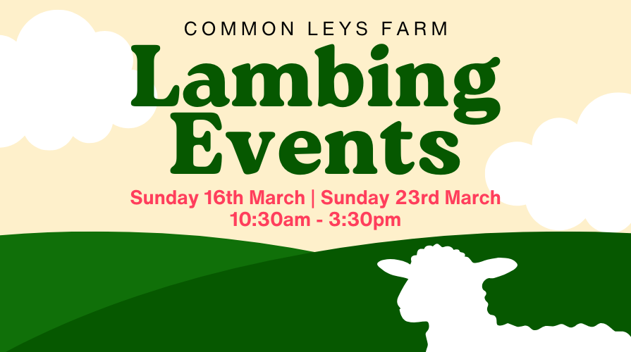 Common Leys Farm - Lambing Events