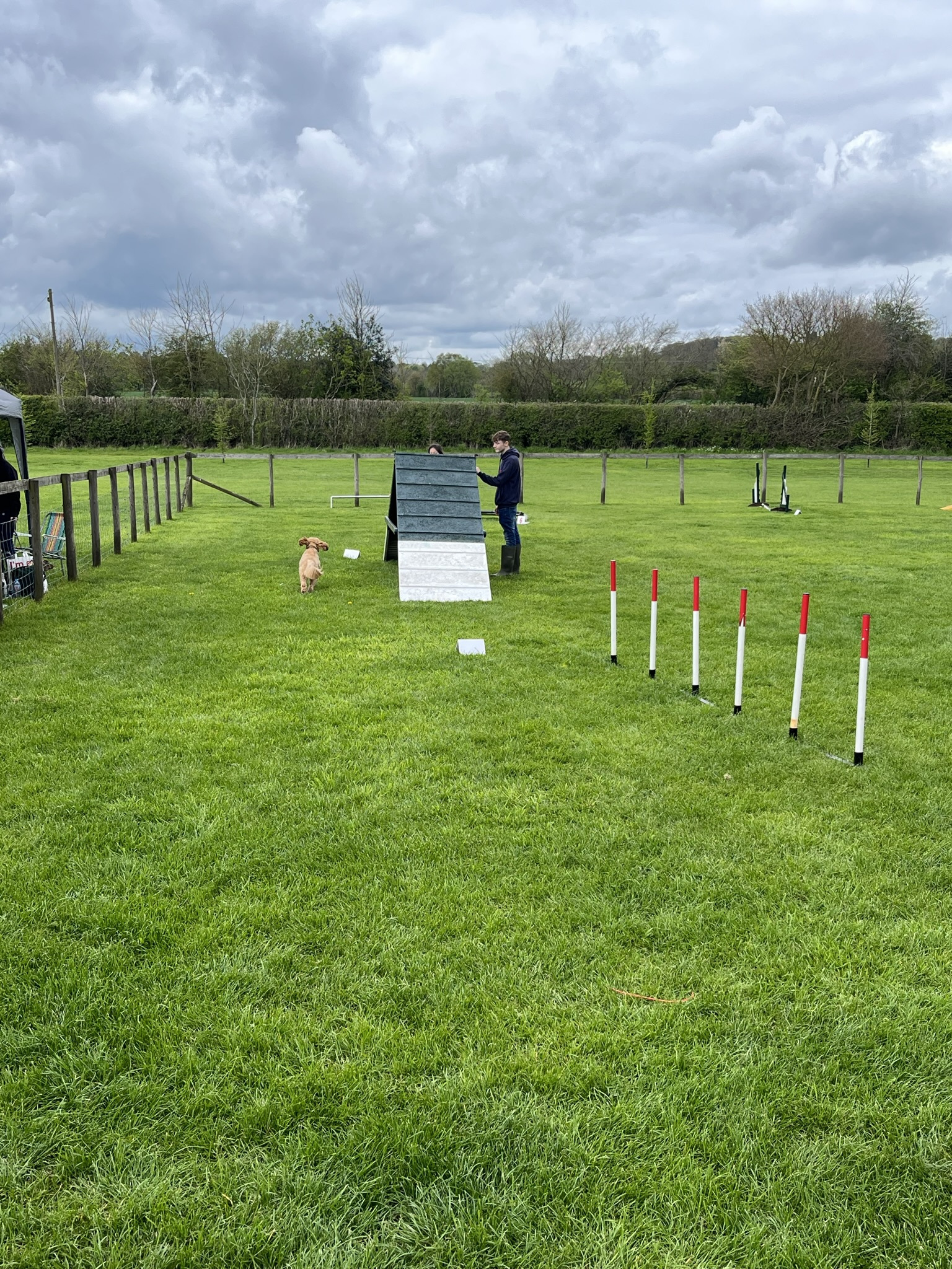 Dog Agility at Common Leys Farm