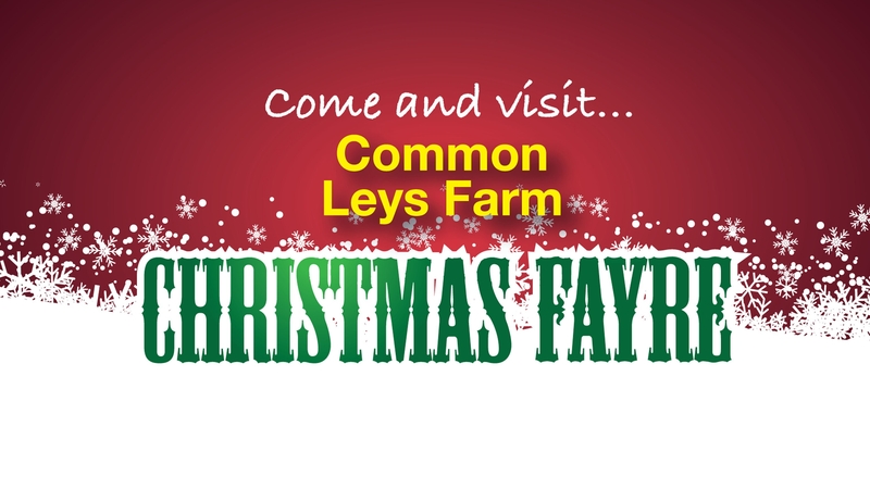 Common Leys Christmas Fayre﻿