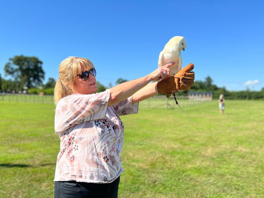 Nikkie flying one of our owls at our College Activities Day