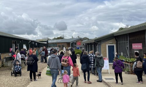 It’s another busy May Day at Common Leys Farm