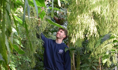 Life as a Horticulture Apprentice: George W and George H share their experience